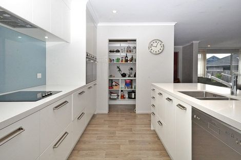 Photo of property in 14 Twomey Drive, Pukekohe, 2120