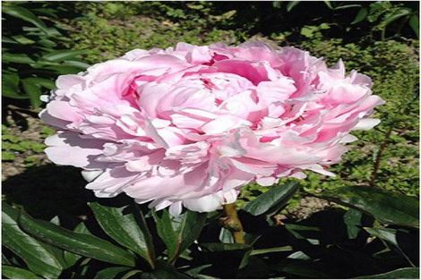 Photo of property in 83 Boundary Road, Upper Plain, Masterton, 5888