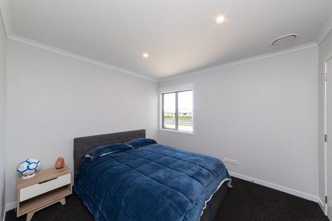 Photo of property in 96 Mount Taylor Drive, Feilding, 4775