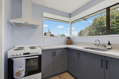 Photo of property in 1/3 Dumfries Drive, Hei Hei, Christchurch, 8042