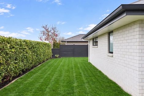 Photo of property in 23 William Paul Street, Cambridge, 3434