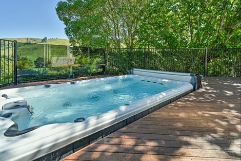 Photo of property in 445 Anaroa Road, Raukawa, Hastings, 4174