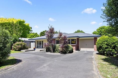 Photo of property in 10a Stanley Street, Claudelands, Hamilton, 3214