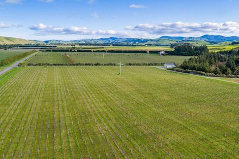 Photo of property in Redbank Estate, 224 Te Muna Road, Martinborough, 5784