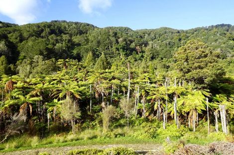 Photo of property in 875 Umere Road, Karamea, 7893