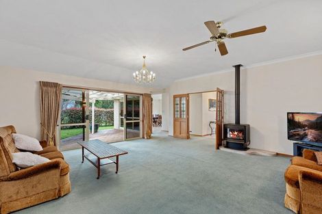 Photo of property in 19 Castlewold Drive, Bethlehem, Tauranga, 3110