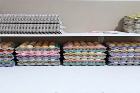 Photo of property in 275 Riwaka Valley Road, Riwaka, Motueka, 7198