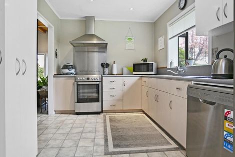 Photo of property in 13 Thornton Street, Putaruru, 3411