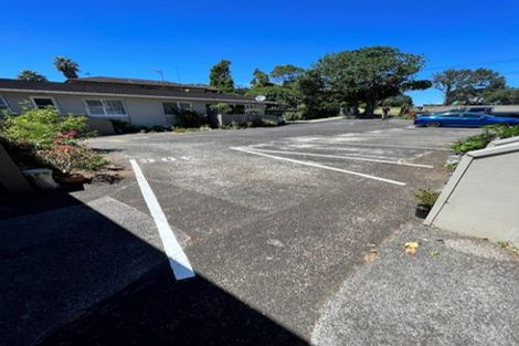 Photo of property in 306 Manukau Road, Epsom, Auckland, 1023