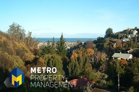 Photo of property in 33 Dalry Street, Mornington, Dunedin, 9011