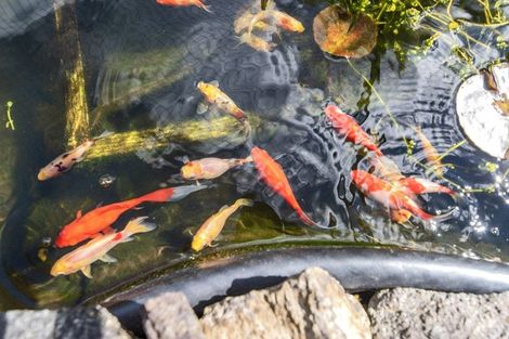 Photo of property in 48 Sapphire Drive, Hairini, Tauranga, 3112