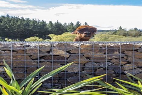 Photo of property in 258 Forestry Road, Ashley, Rangiora, 7477