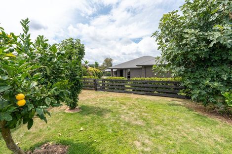 Photo of property in 25 Aquila Crescent, Rototuna North, Hamilton, 3210