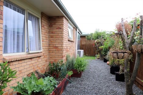 Photo of property in 20b Reeve Street, Levin, 5510