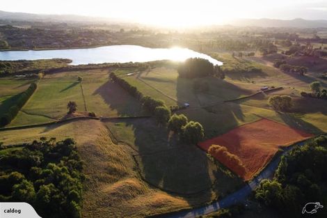 Photo of property in 153 Exelby Road, Burbush, Hamilton, 3289