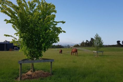 Photo of property in 267 Howell Road, Totara Valley, Pleasant Point, 7982