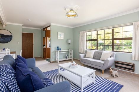 Photo of property in 2/22 Middle Road, Havelock North, 4130