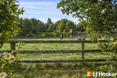 Photo of property in 18 Old State Mill Road, Mamaku, 3020