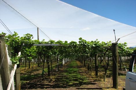 Photo of property in 1082 Te Matai Road, Te Ranga, Te Puke, 3188