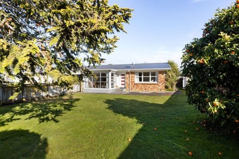 Photo of property in 3/20 Queen Street, Cambridge, 3434