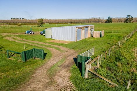 Photo of property in 157 Orakipaoa Island Road, Milford, Temuka, 7986