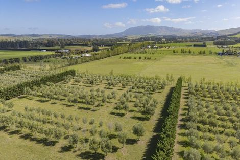 Photo of property in 206 Mount Brown Road, Glasnevin, Amberley, 7482