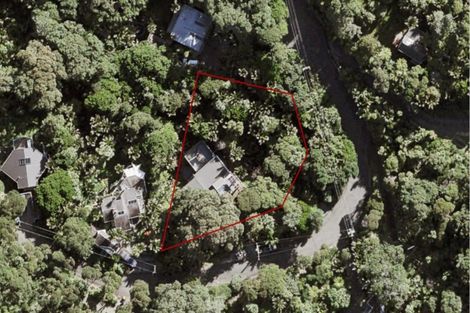 Photo of property in 53 Rayner Road, Piha, New Lynn, 0772