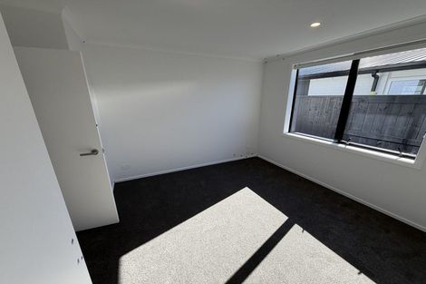 Photo of property in 138 Dunlop Road, Te Puke, 3183