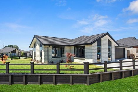 Photo of property in 14 Rangawhenua Street, Ngaruawahia, Hamilton, 3288