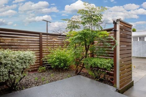 Photo of property in 59 Budge Street, Riversdale, Blenheim, 7201