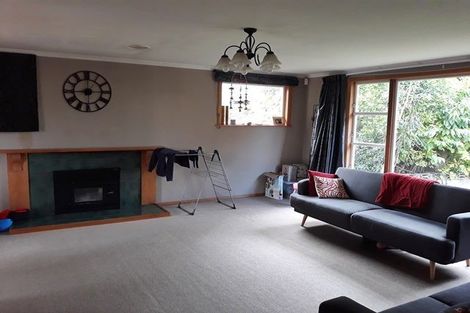 Photo of property in 37 Heatley Avenue, Hokowhitu, Palmerston North, 4410