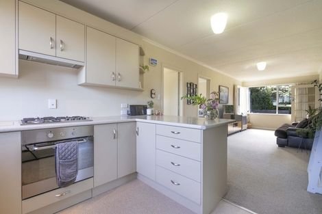 Photo of property in 23 Home Street, Manapouri, 9679