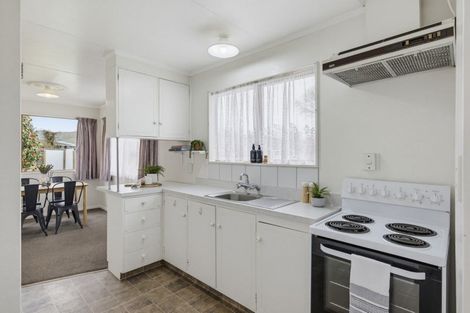 Photo of property in 19 Rimu Street, Levin, 5510