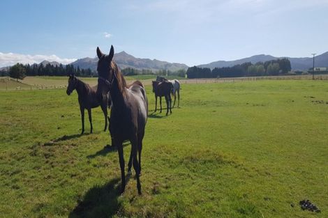 Photo of property in 203 Kelvin Road, Waimumu, Gore, 9774