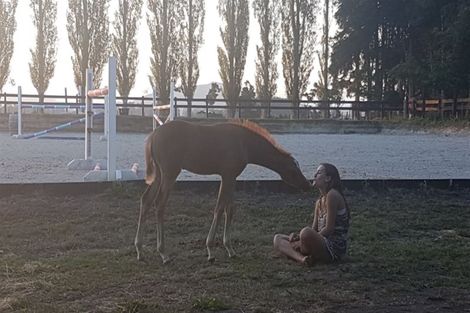 Photo of property in 175 Tiverton Downs Road, Broadlands, Reporoa, 3081