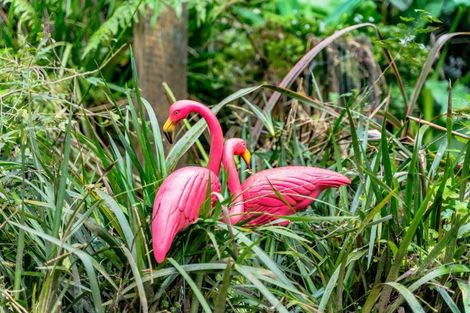 Photo of property in 36 Kereru Grove, Greenhithe, Auckland, 0632