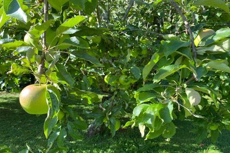 Photo of property in 49 Vista Road, Ohau, Levin, 5570