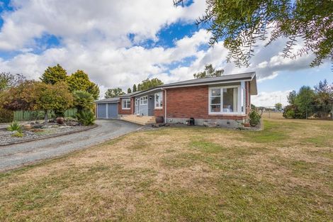 Photo of property in 31 Rata Street, Matamata, 3400