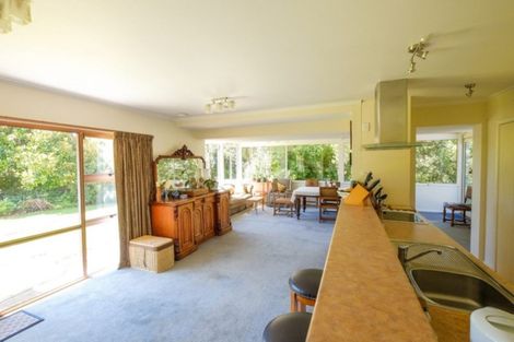 Photo of property in 166 Amberley Beach Road, Amberley, 7481