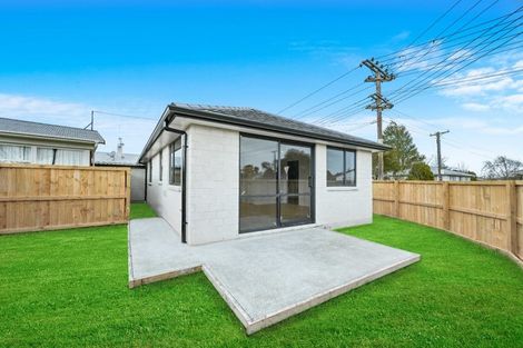 Photo of property in 44 Yvonne Street, Melville, Hamilton, 3206