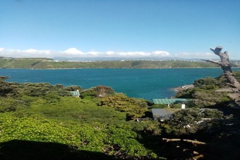 Photo of property in 155a Grafton Road, Roseneath, Wellington, 6011