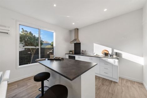 Photo of property in 132 Slater Street, Richmond, Christchurch, 8013