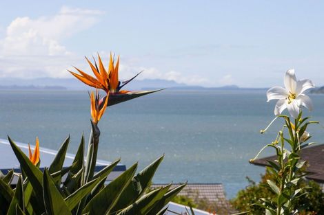 Photo of property in 108 Hamurana Road, Omokoroa, 3114