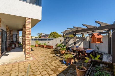 Photo of property in 19a Vine Avenue, Maungatapu, Tauranga, 3112