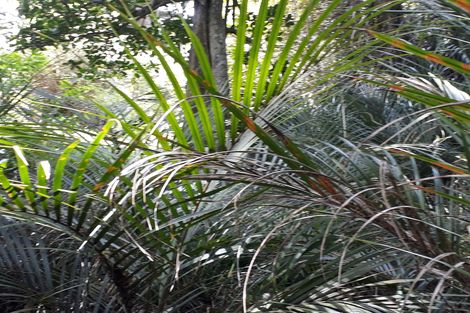 Photo of property in 296 Devich Road, Mangawhai, Kaiwaka, 0573