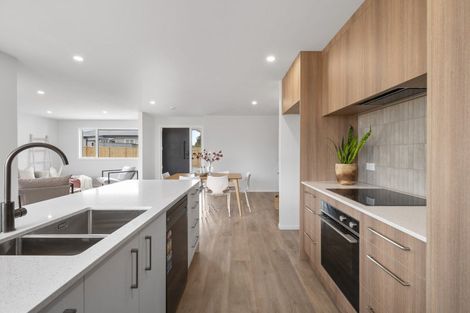 Photo of property in 20a Denbigh Street, Feilding, 4702