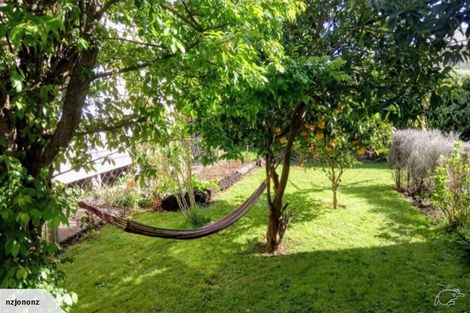 Photo of property in 317 Mackay Street, Thames, 3500