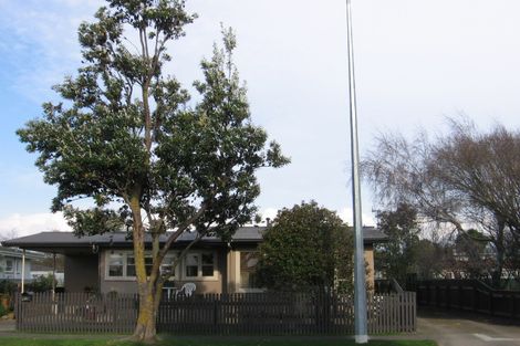 Photo of property in 50a College Street, Awapuni, Palmerston North, 4412