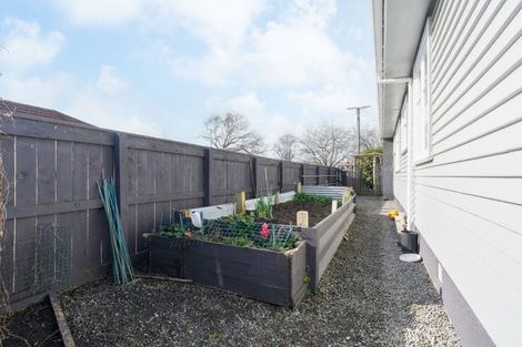 Photo of property in 55 Tiro Tiro Road, Levin, 5510