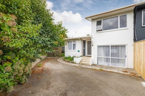 Photo of property in 2/24 Birmingham Street, Takaro, Palmerston North, 4412